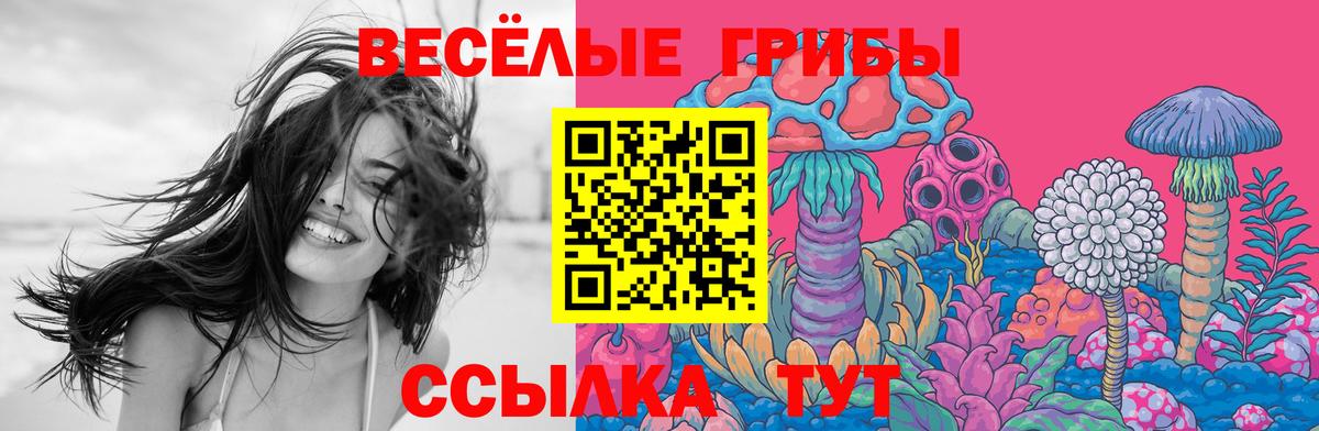 Псилоцибиновые грибы Psilocybine cubensis Тосно