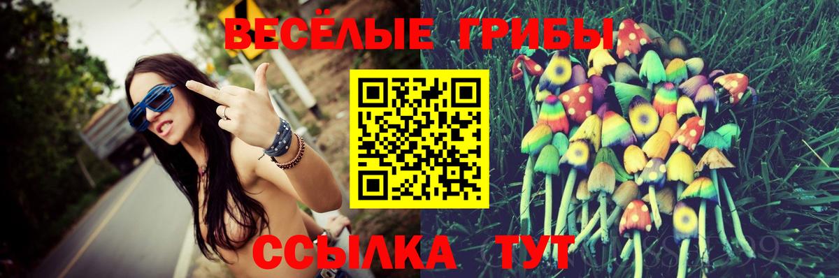 Галлюциногенные грибы мухоморы  Вход с VPN  купить   Тосно  Галлюциногенные грибы ЛСД 